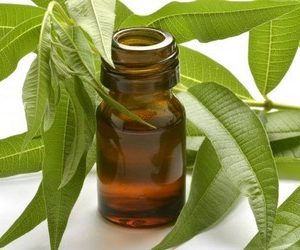 Citronela "Doterra" 10ml