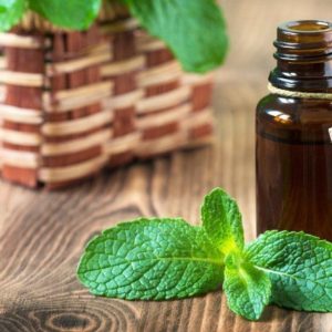 Menta "Just" 10ml