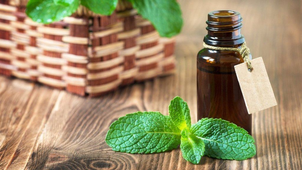 Menta "Just" 10ml