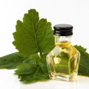 PACHULI.- (Pogostemon cablin) "JUST" 10ml